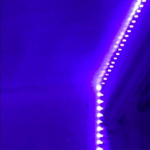 Meet your Posher, Isabella